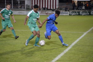 YS2 - Champagne (18)