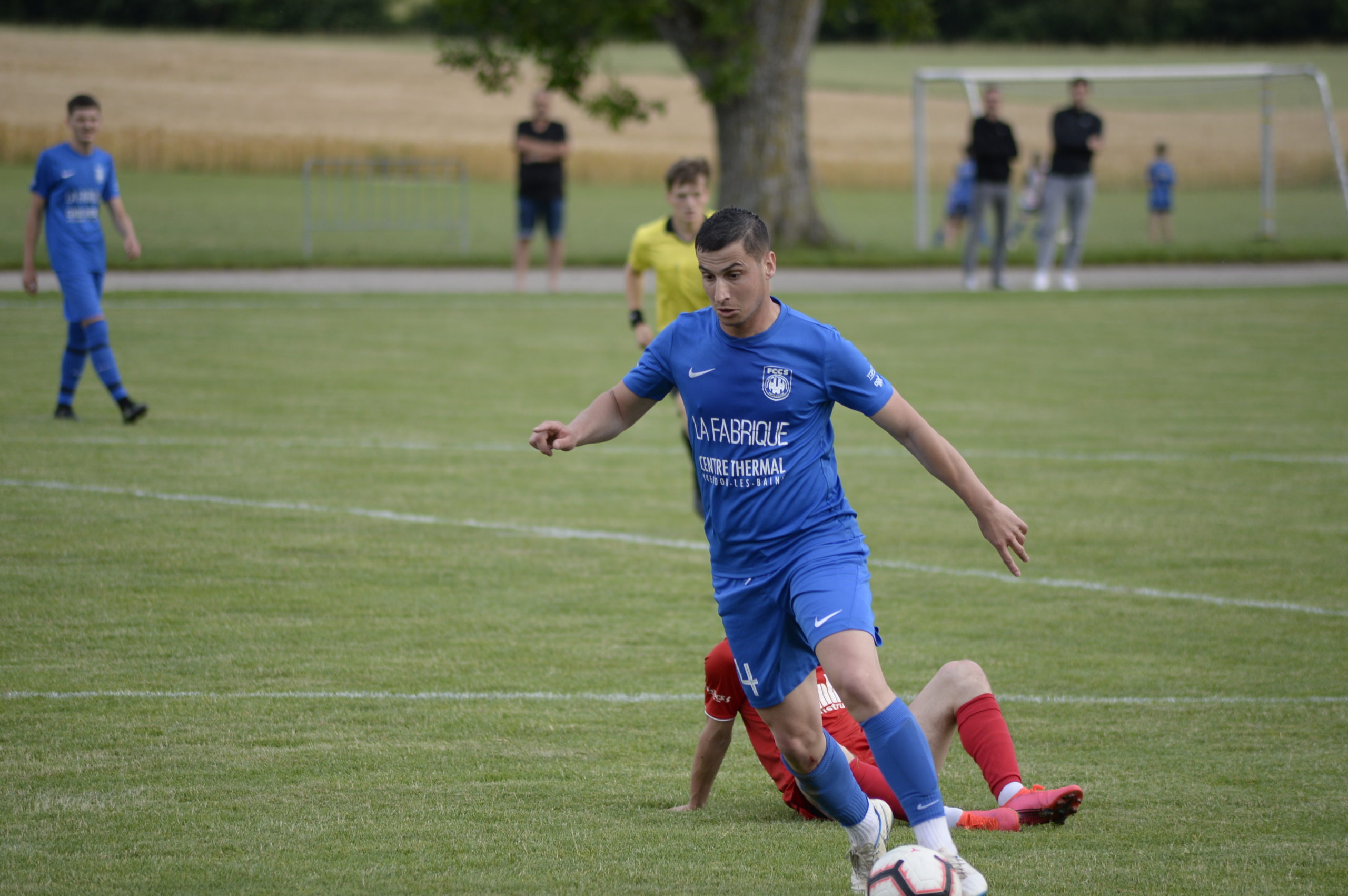 Champagne - Grandson