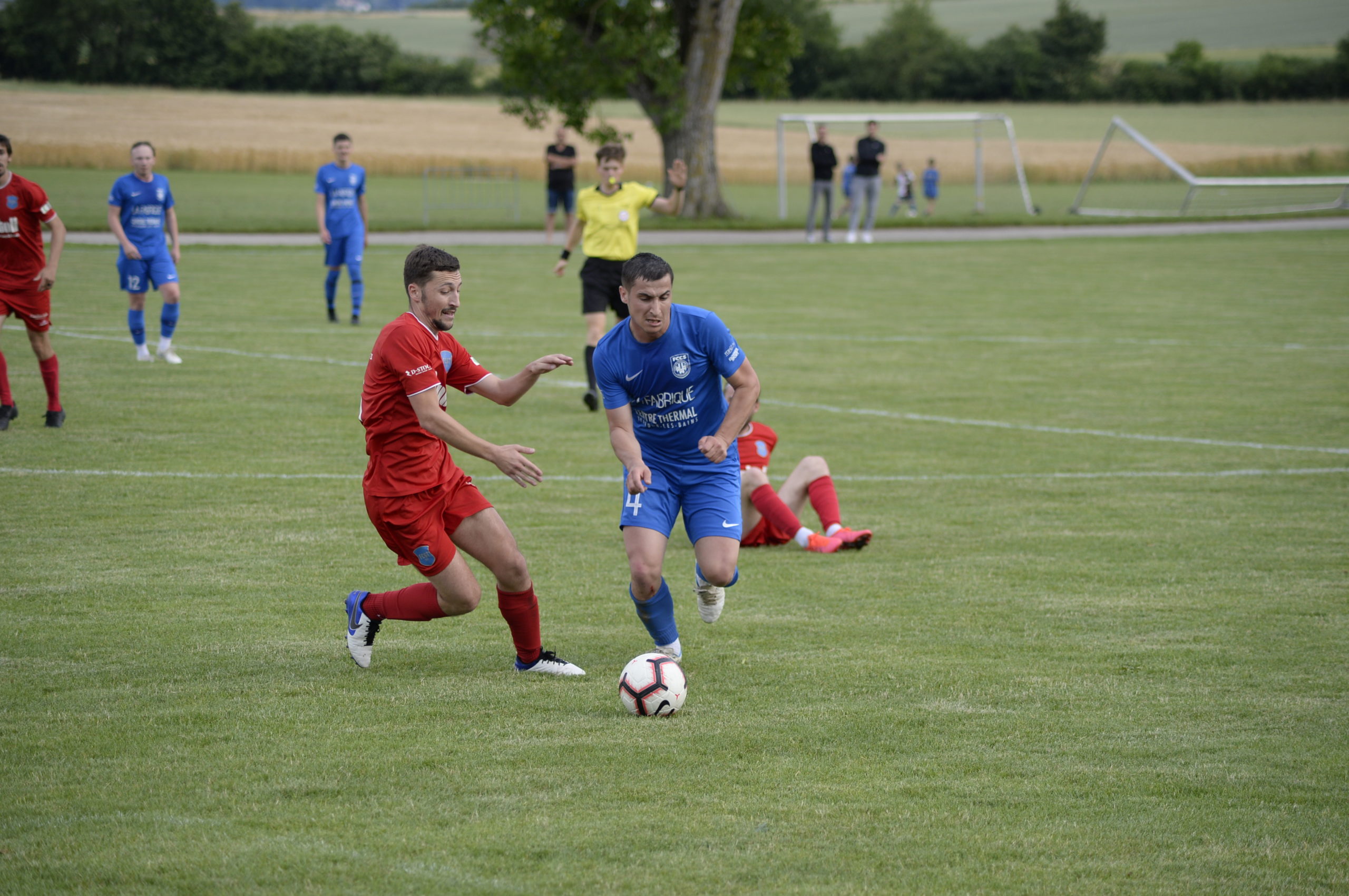 Champagne - Grandson