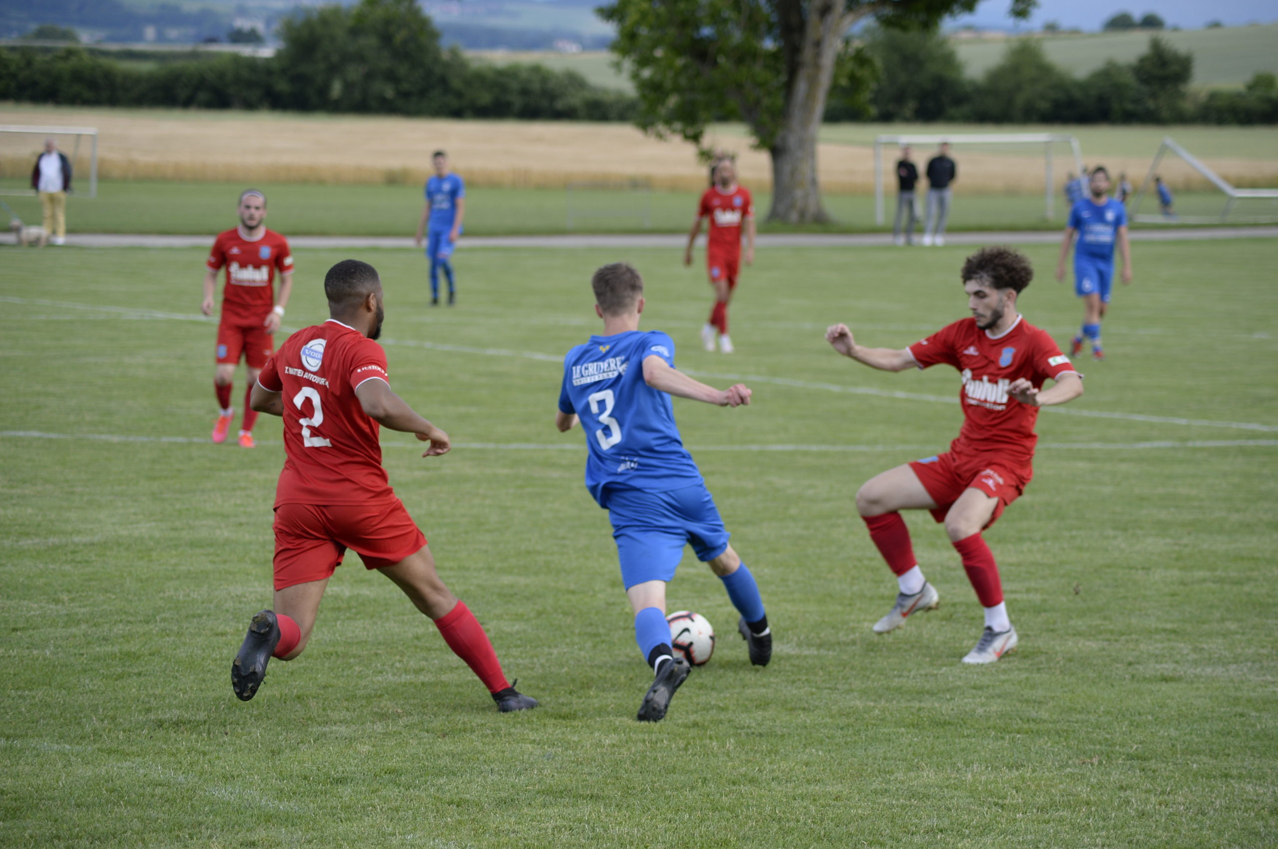 Champagne - Grandson