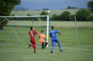 Champagne - Grandson