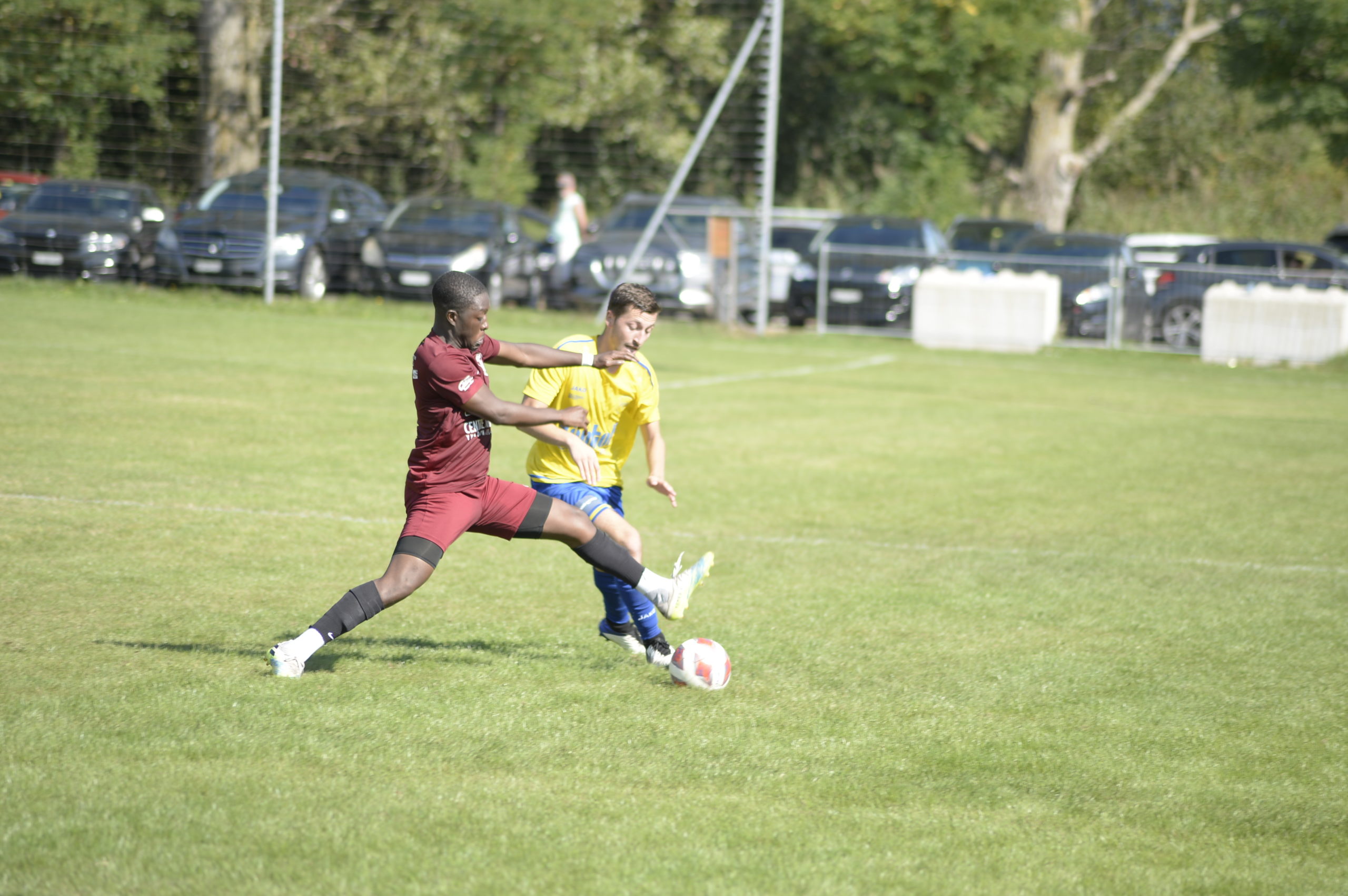 Grandson - Champagne (28)