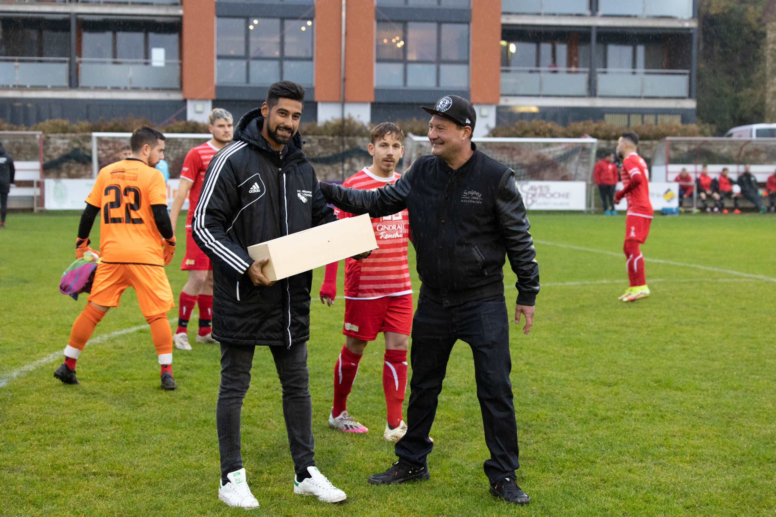 beroche-colombier-1134