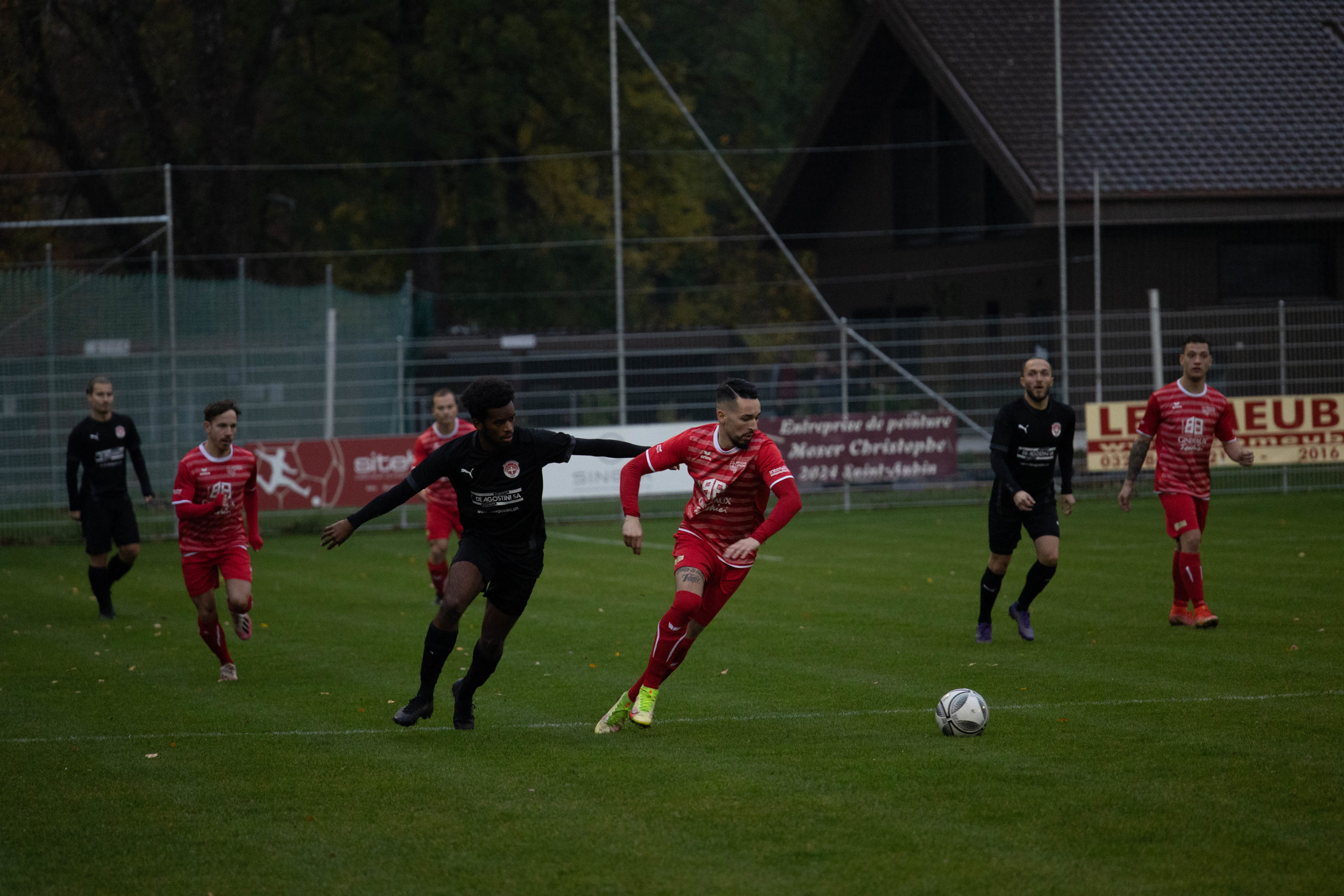 beroche-colombier-1145