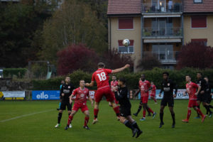 beroche-colombier-1187