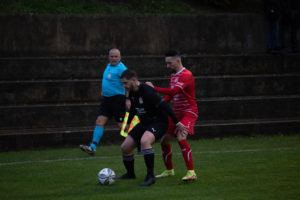 beroche-colombier-1207