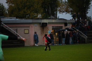 beroche-colombier-1258