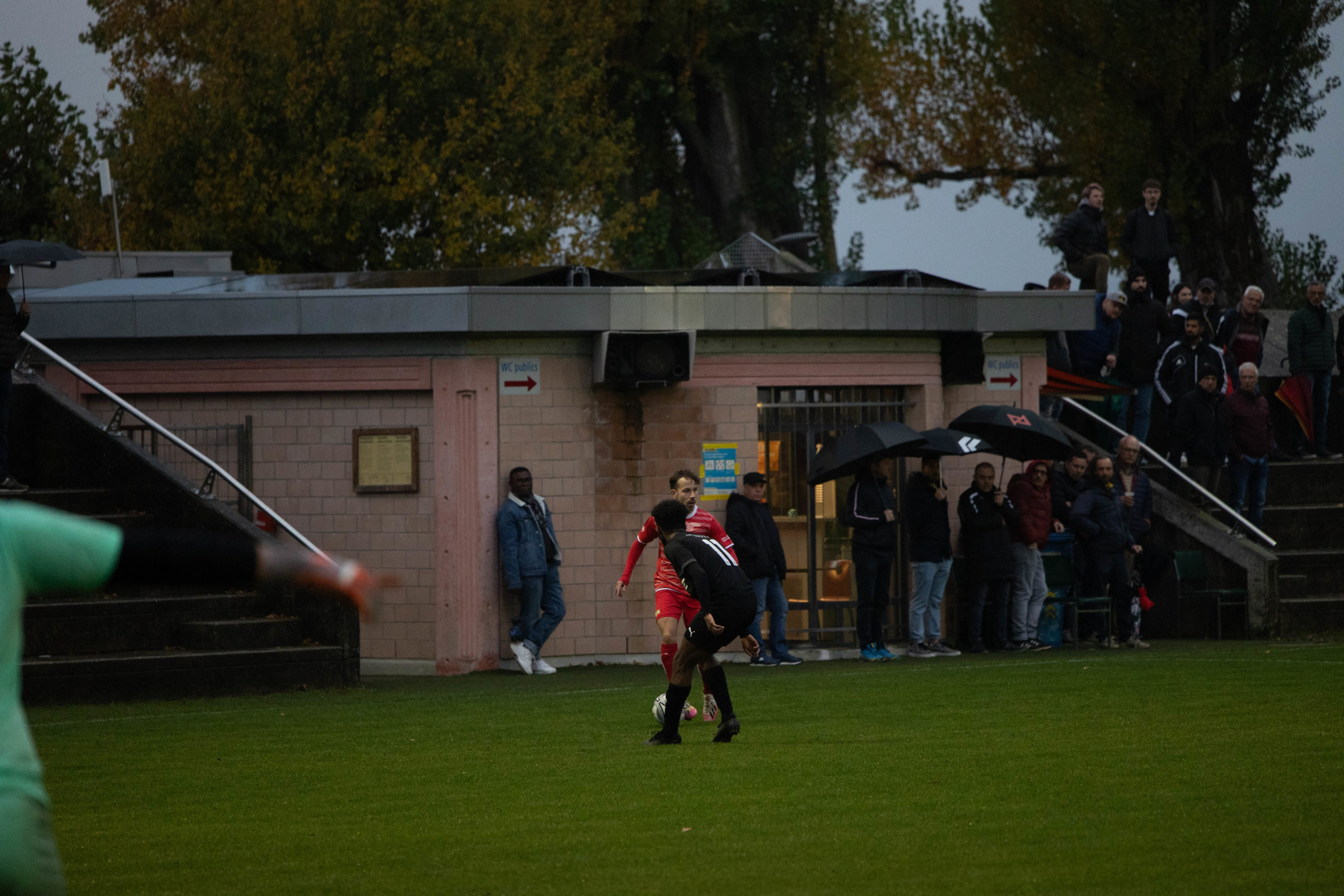 beroche-colombier-1258