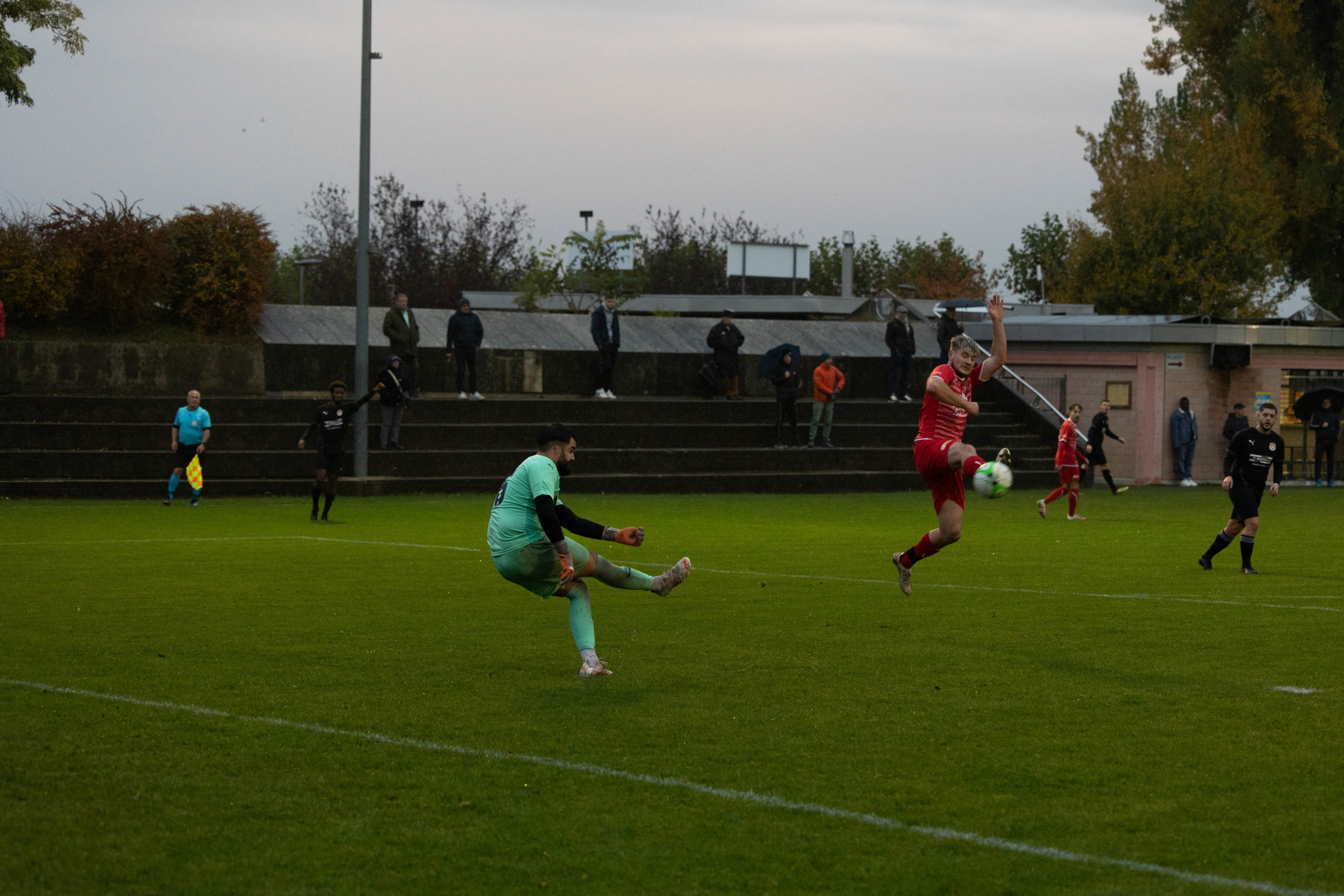 beroche-colombier-1304