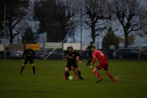 beroche-colombier-1411