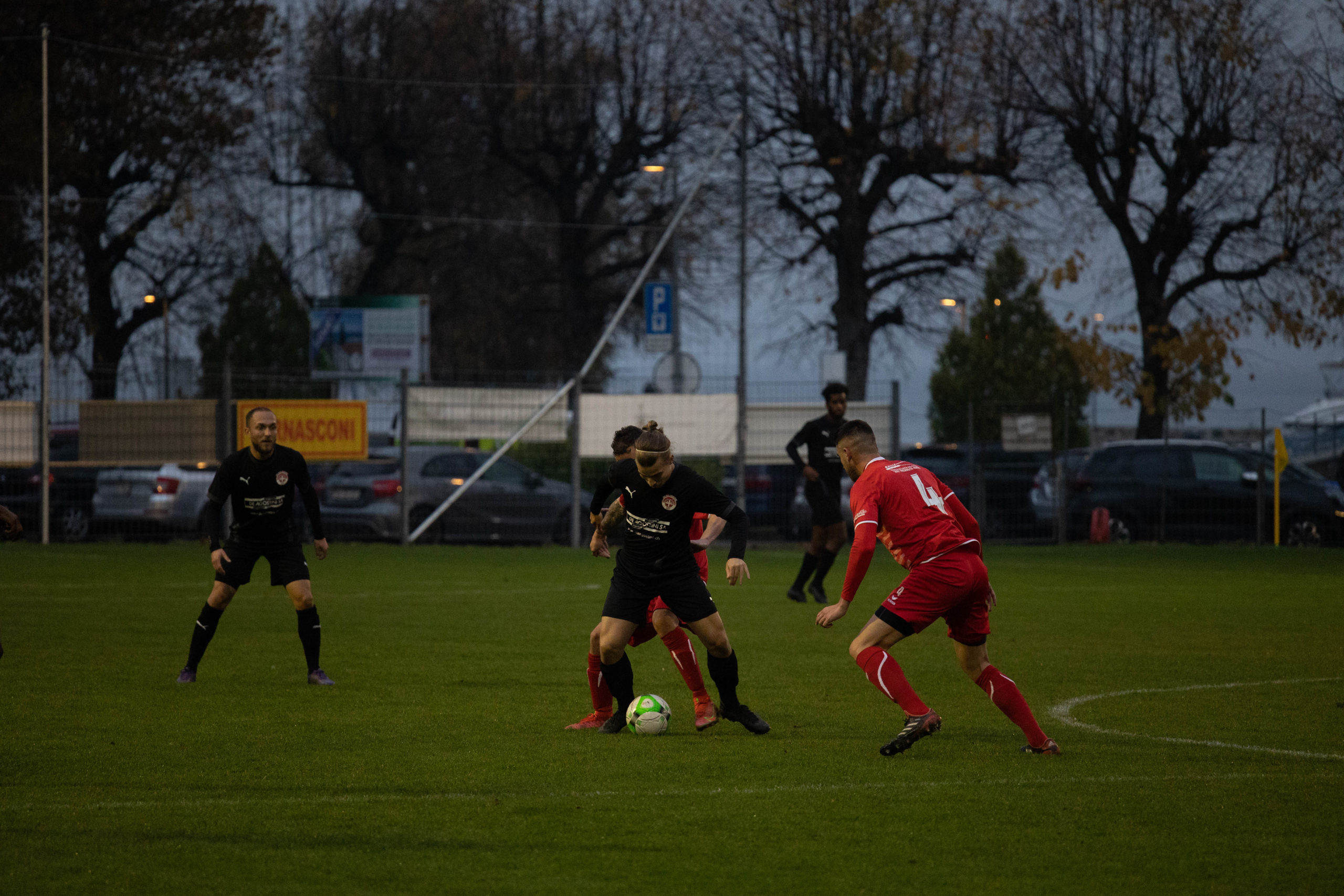 beroche-colombier-1411