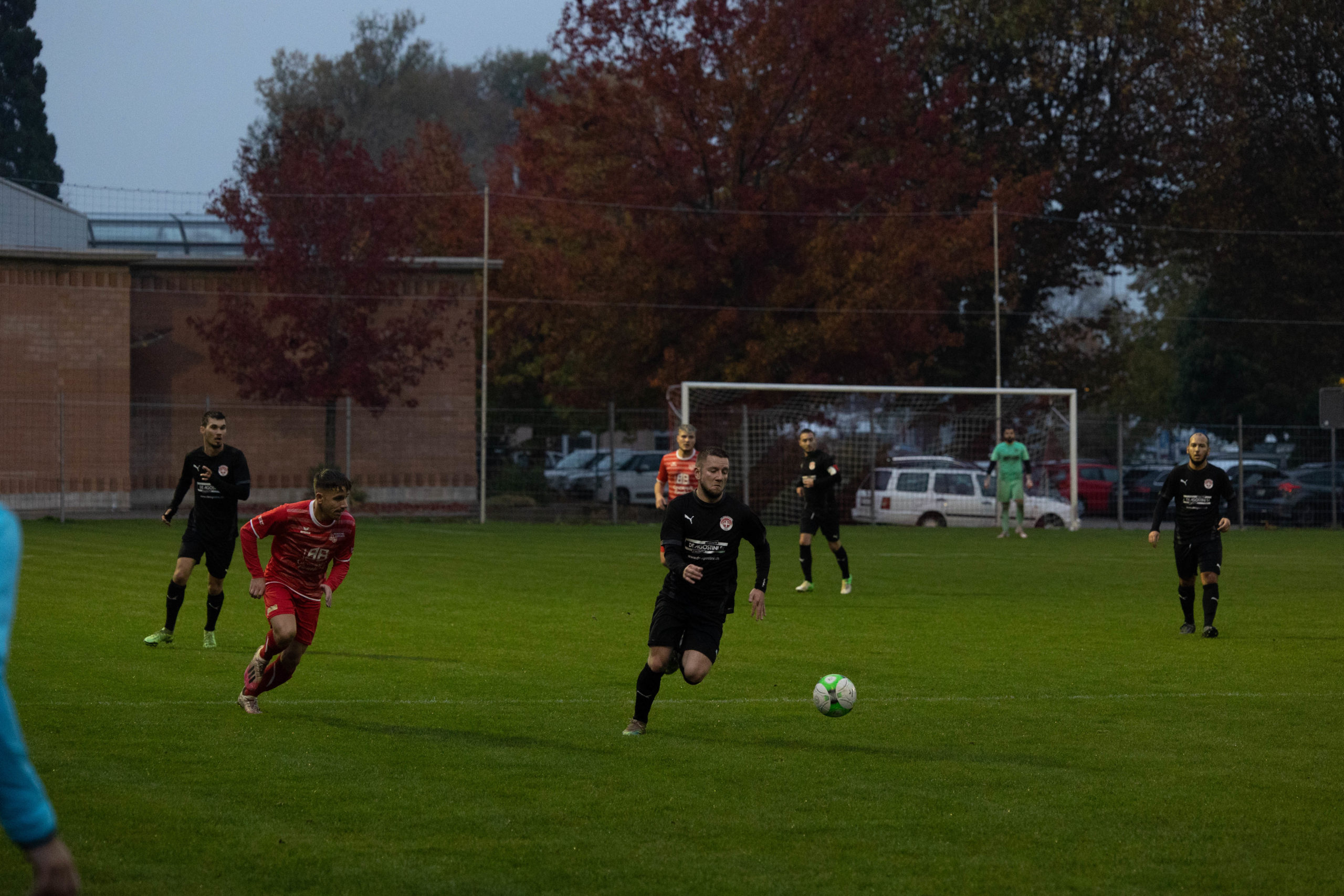 beroche-colombier-1416