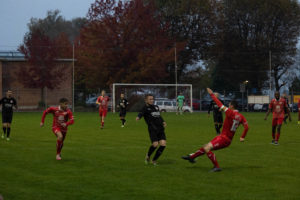 beroche-colombier-1423