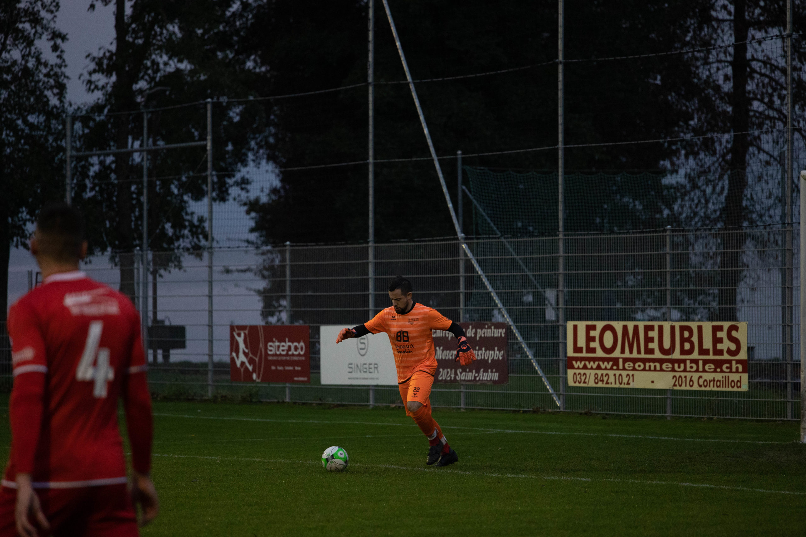 beroche-colombier-1434