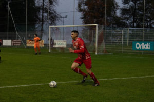 beroche-colombier-1444