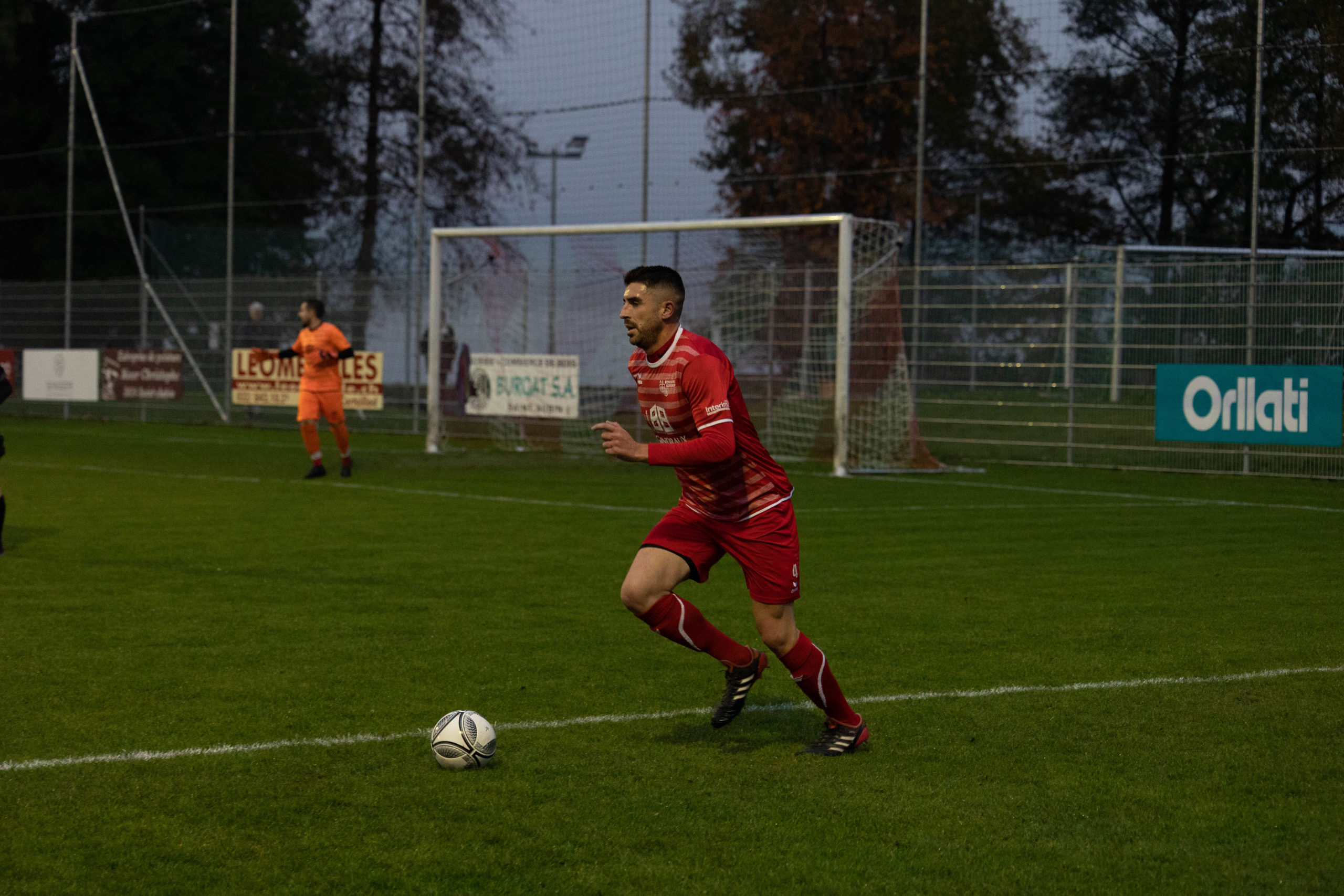 beroche-colombier-1444