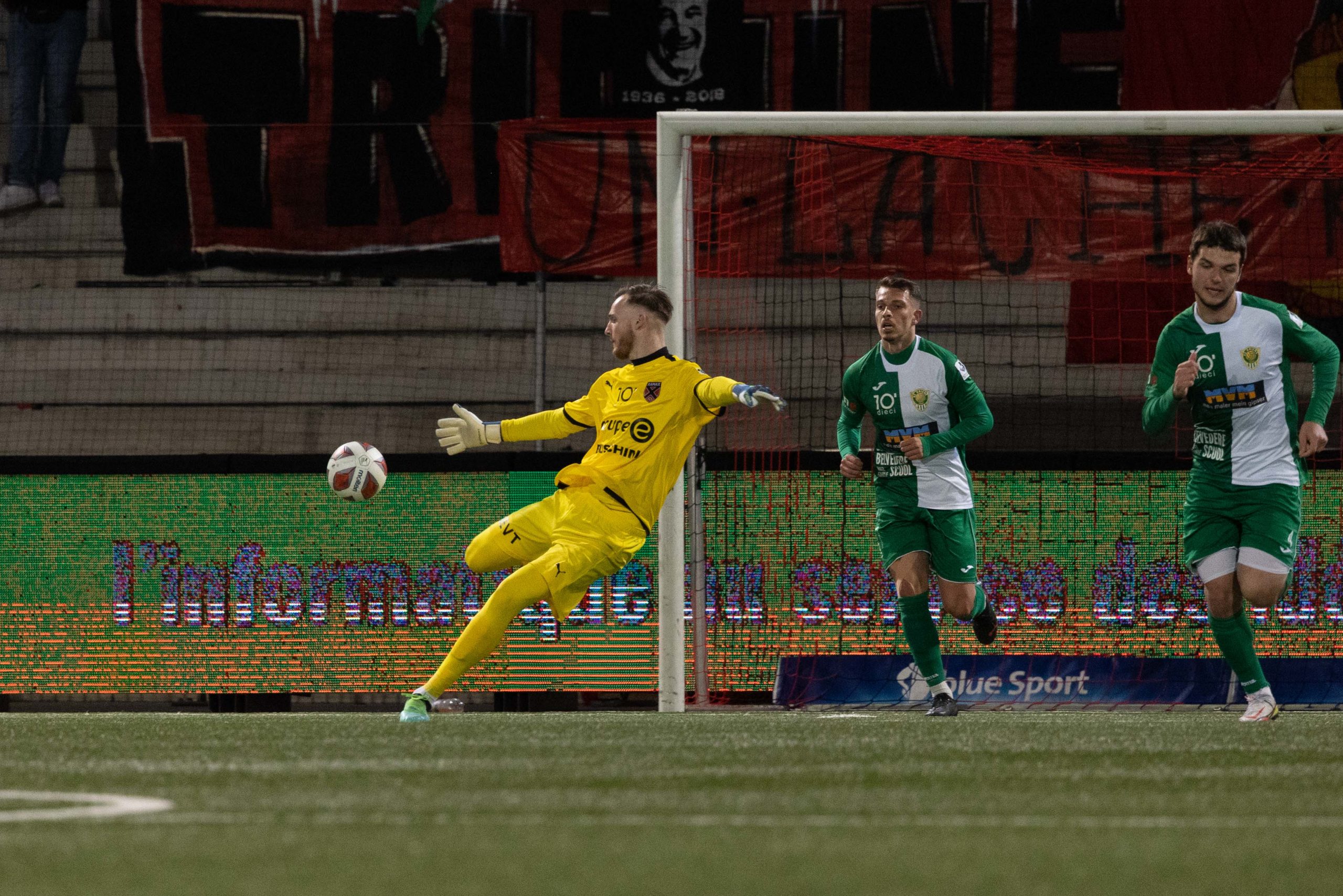 734A7136-2FFD-4128-87B4-DBB453FEFFE8