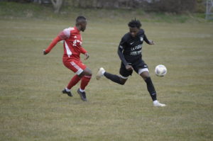 Champagne - Bavois 2 (20)