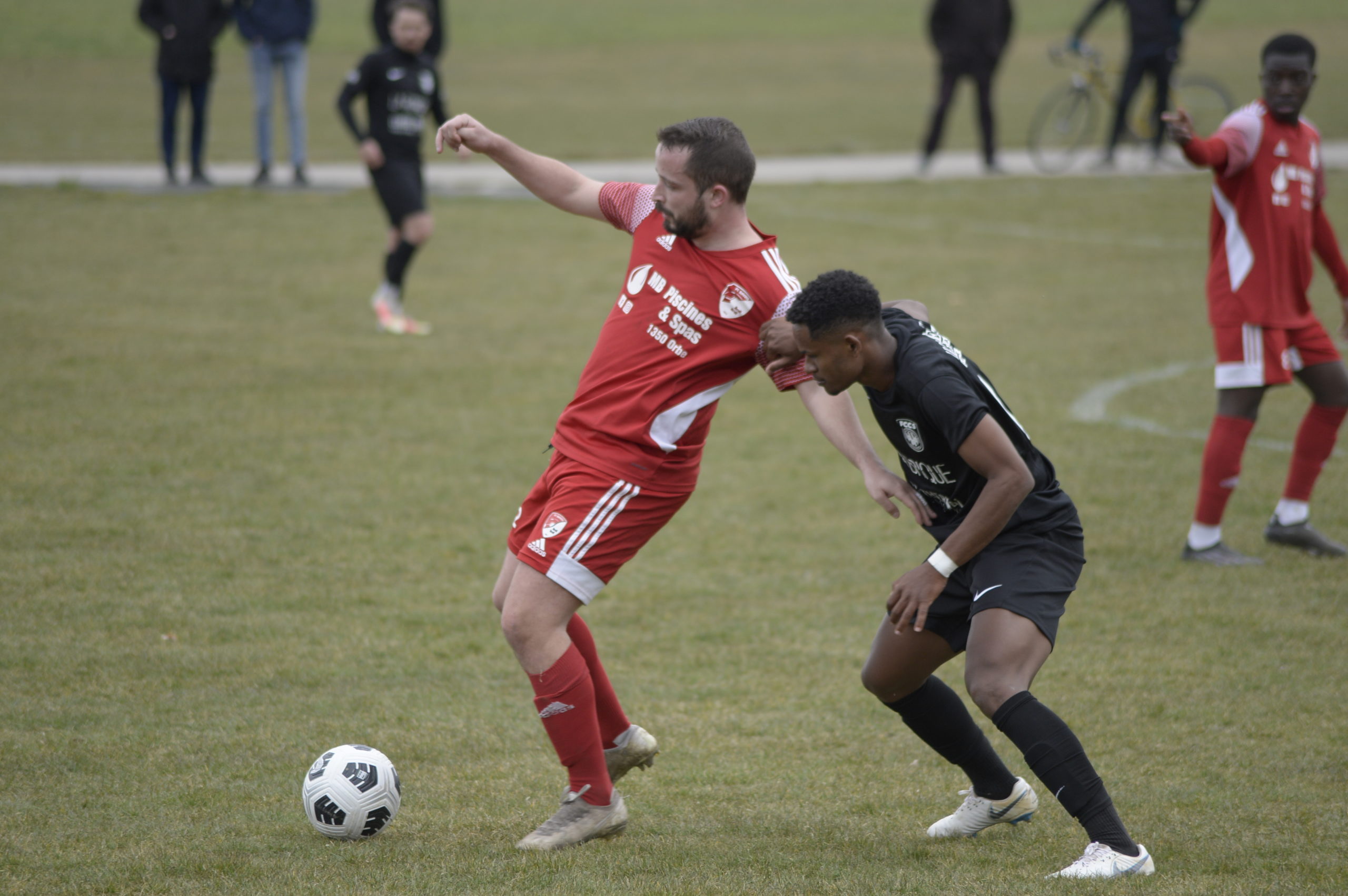 Champagne - Bavois 2 (38)