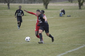 Champagne - Bavois 2 (40)