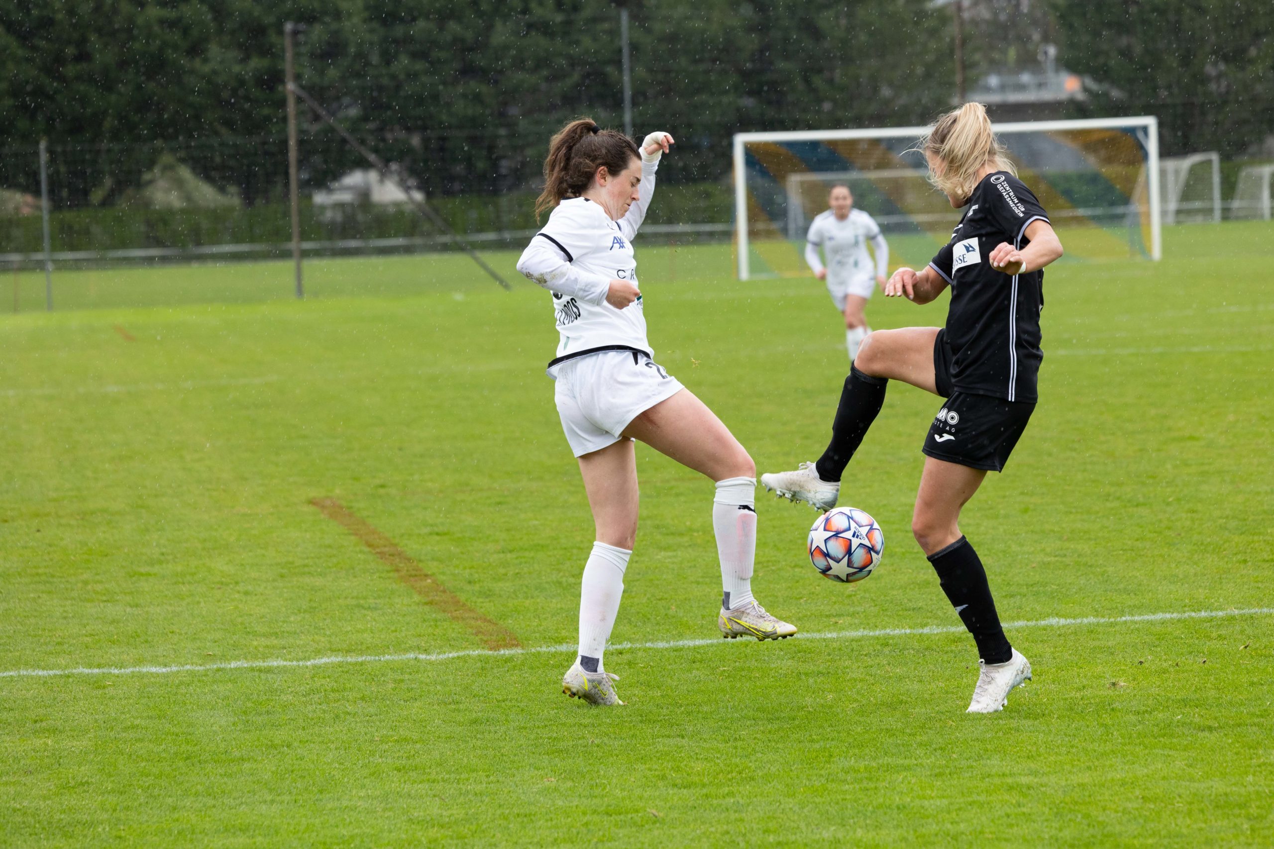 40EE62A4-A1AA-4483-86C8-2C0B9ADC1FE0