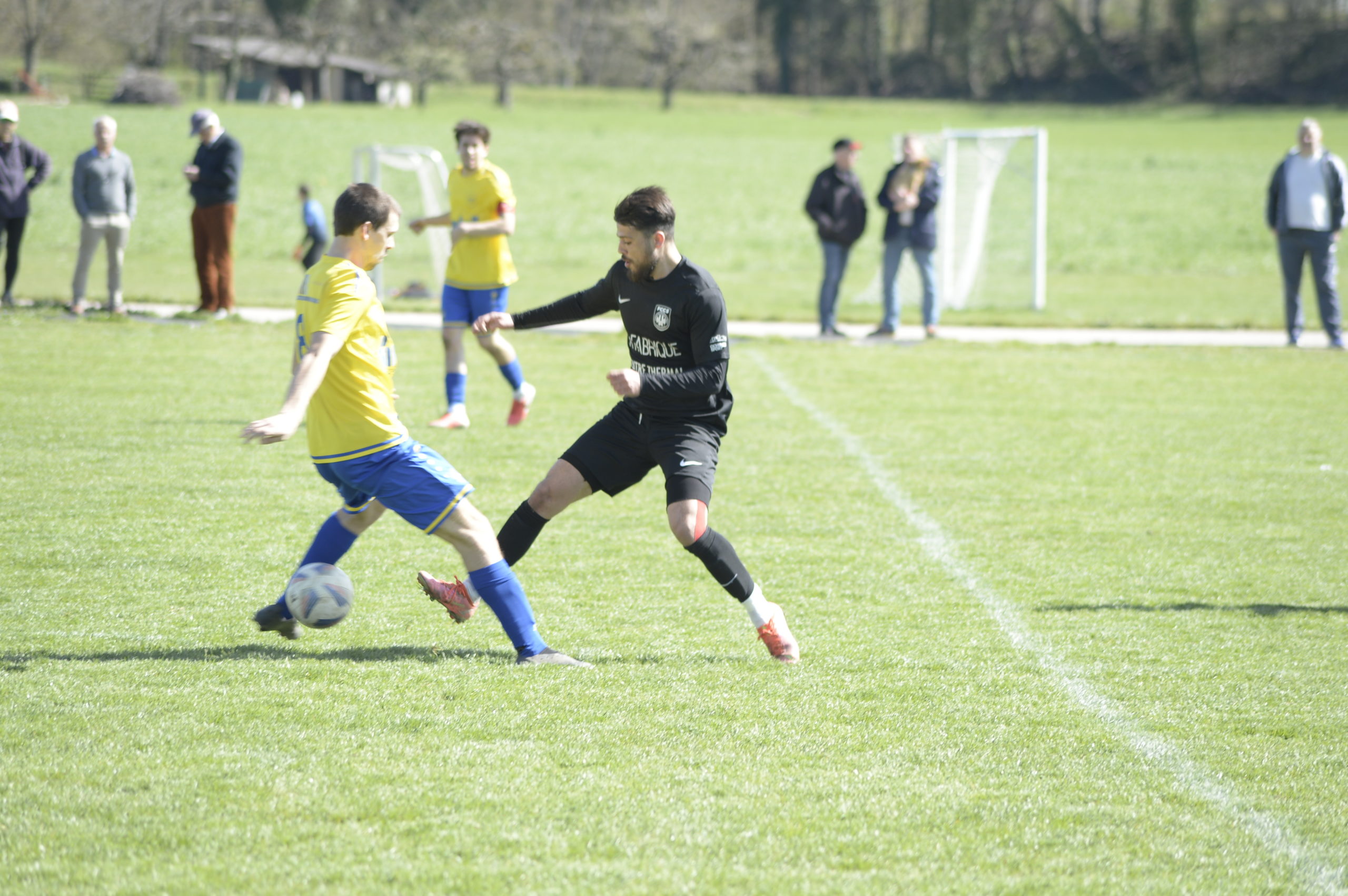 Champagne - Grandson (10)