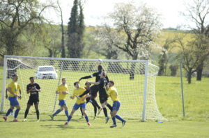 Champagne - Grandson (20)