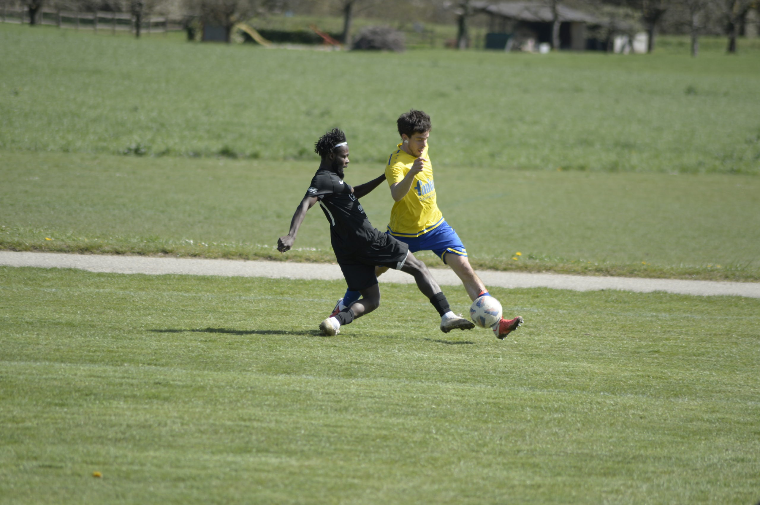 Champagne - Grandson (4)