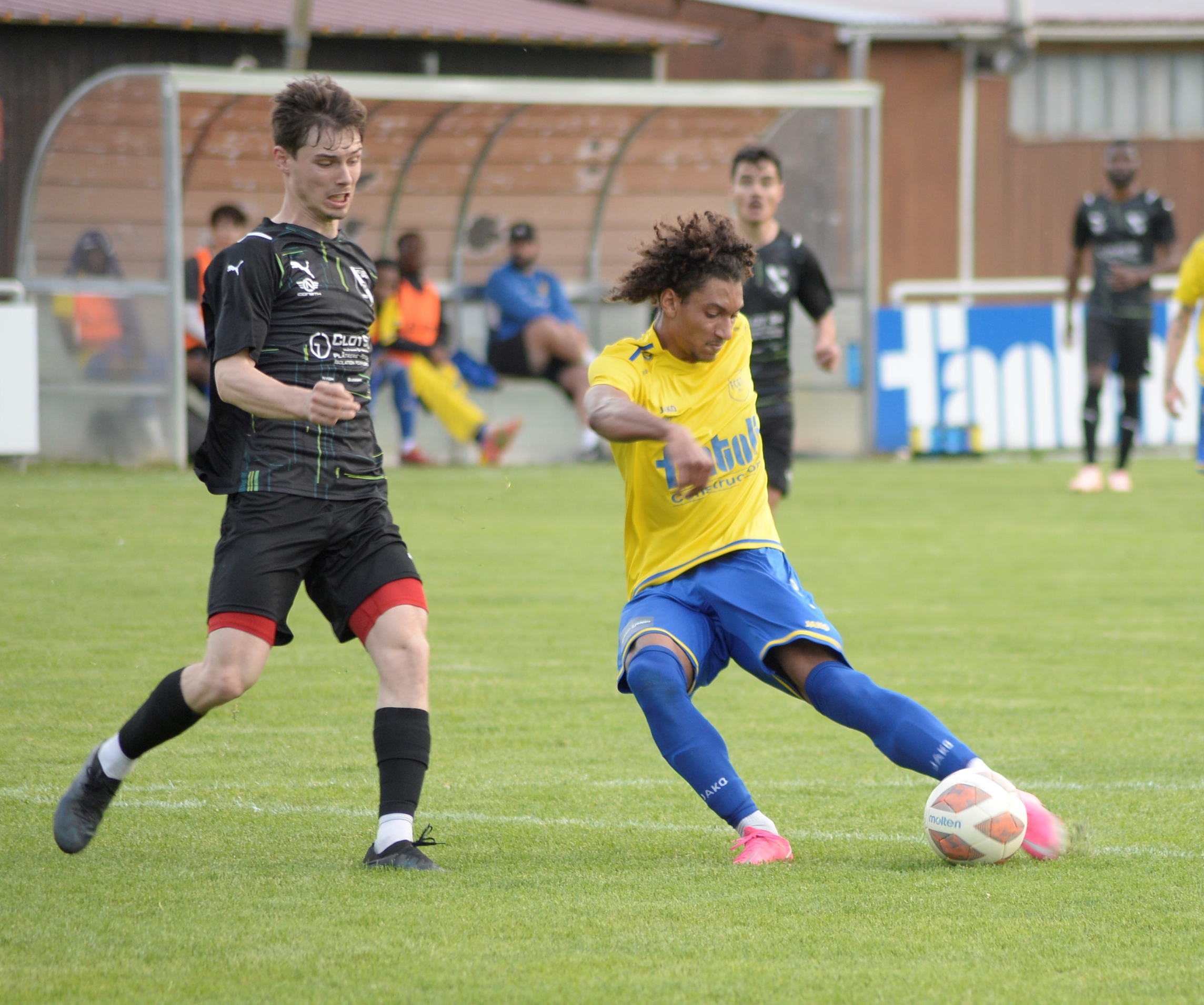 Grandson - Lonay (6)