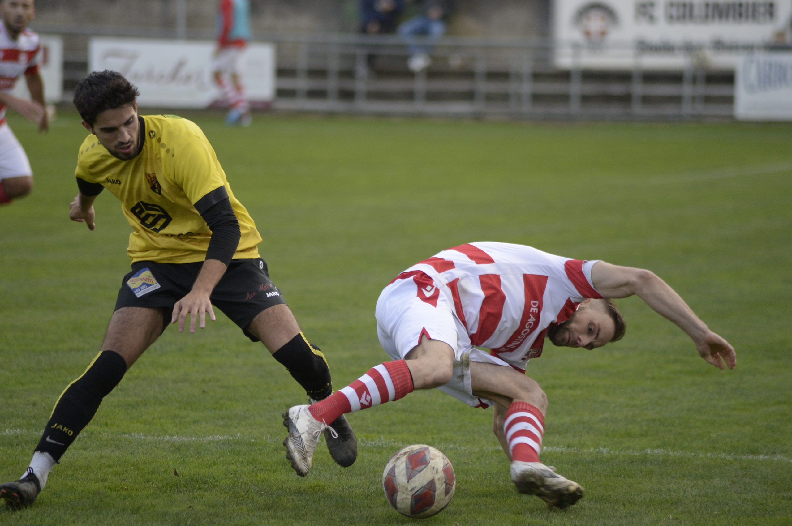 Colombier - Marin (26)