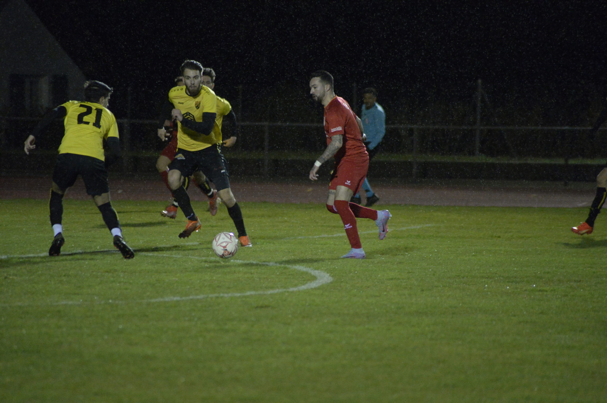 Beroche - Marin (19)