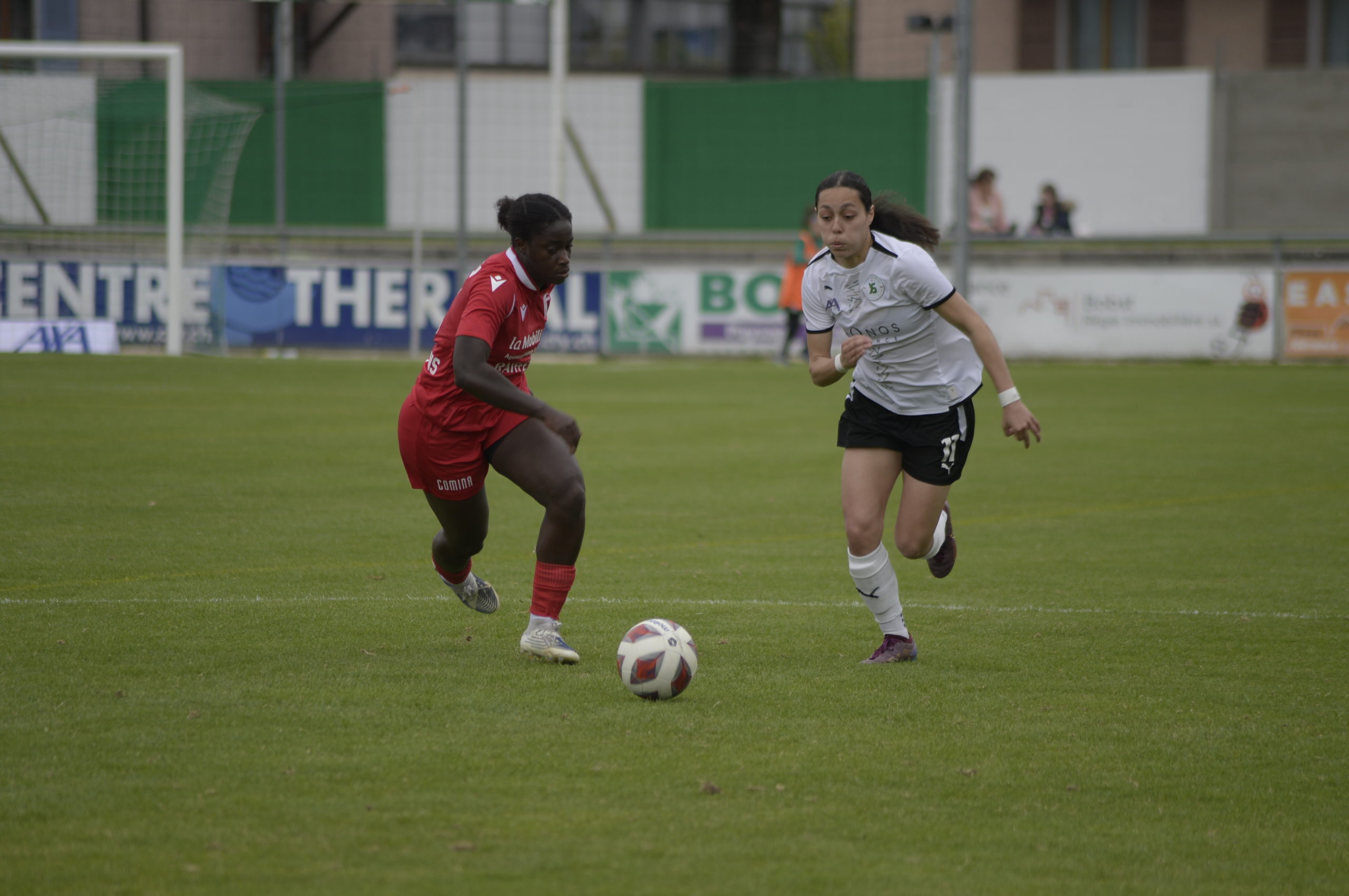 YS Féminin - Sion Noemie Potter