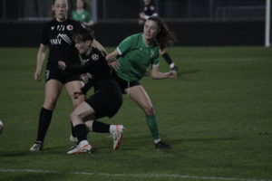 YS Femini - Sion (13)