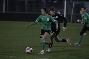 YS Femini - Sion (15)