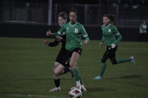 YS Femini - Sion (16)