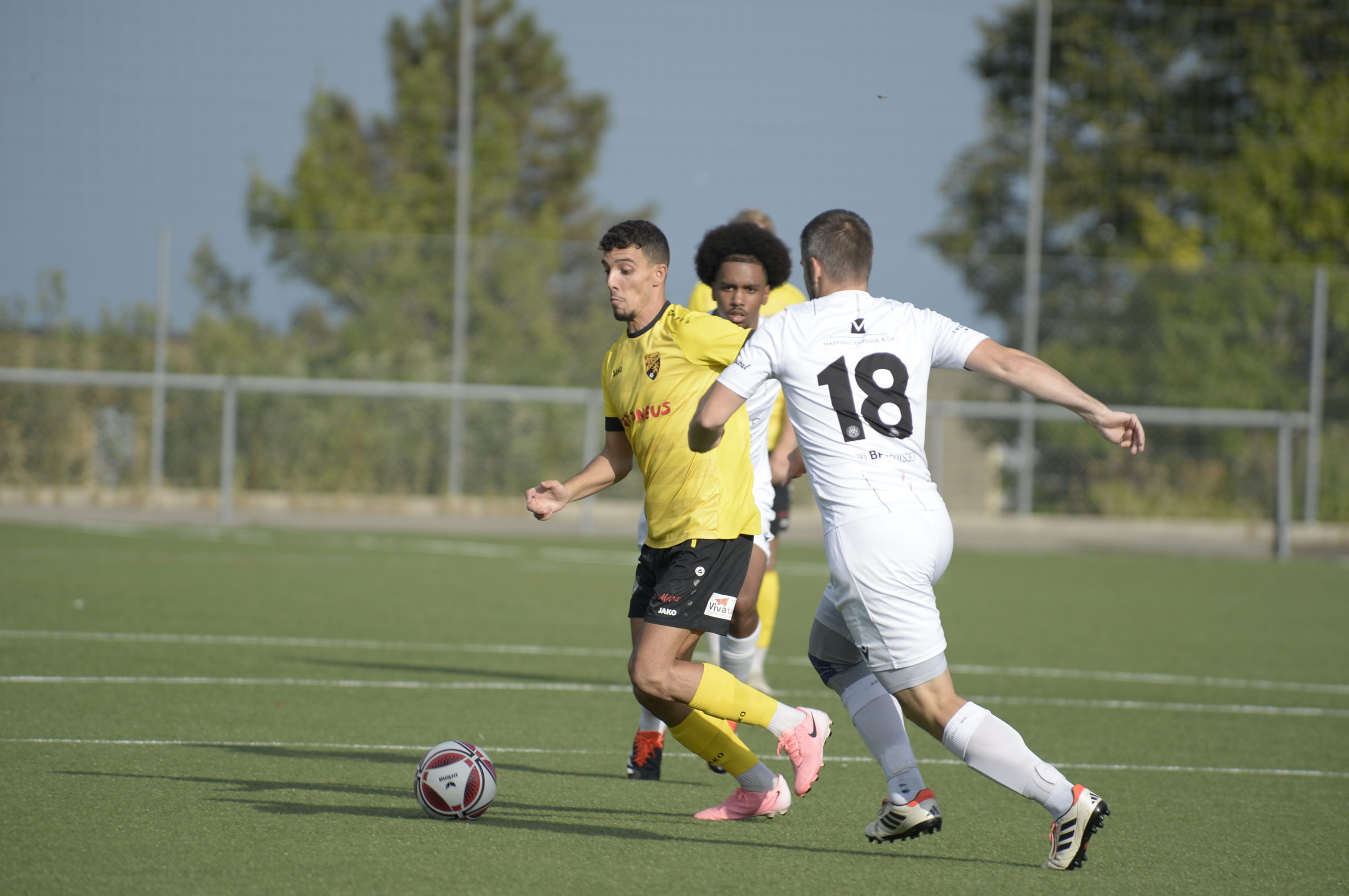 Audax - Marin (1)
