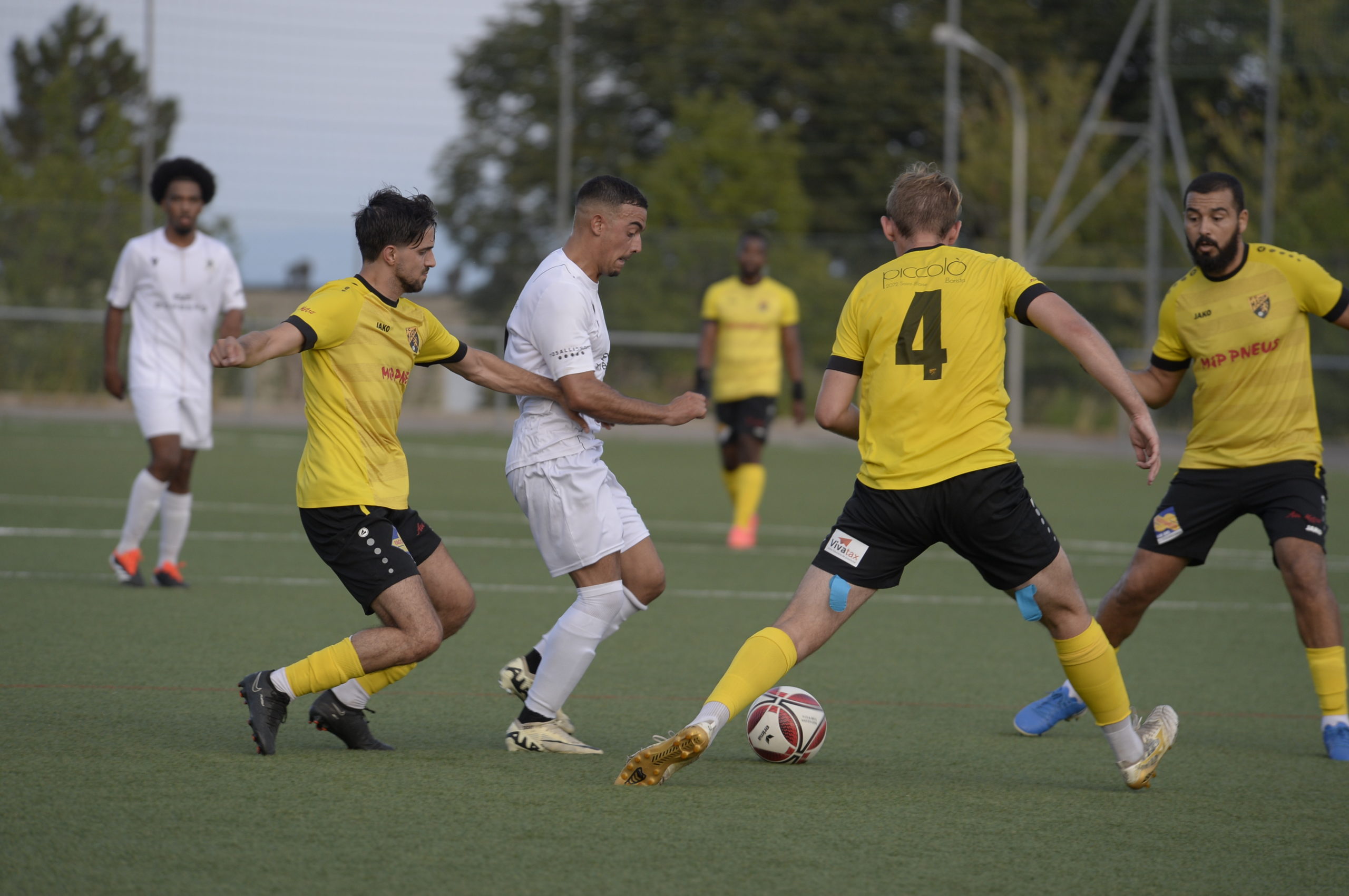 Audax - Marin (18)