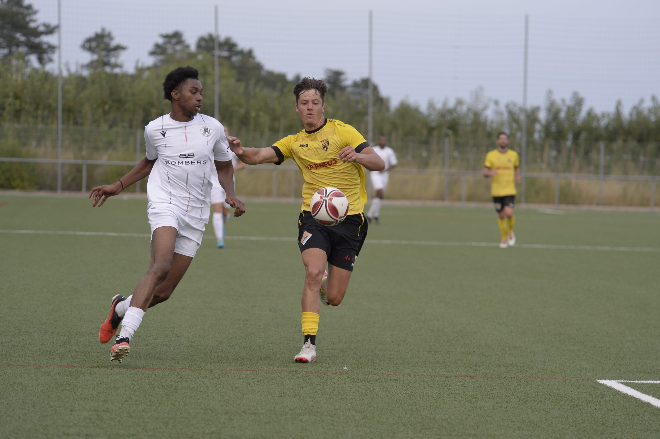 Audax - Marin (24)