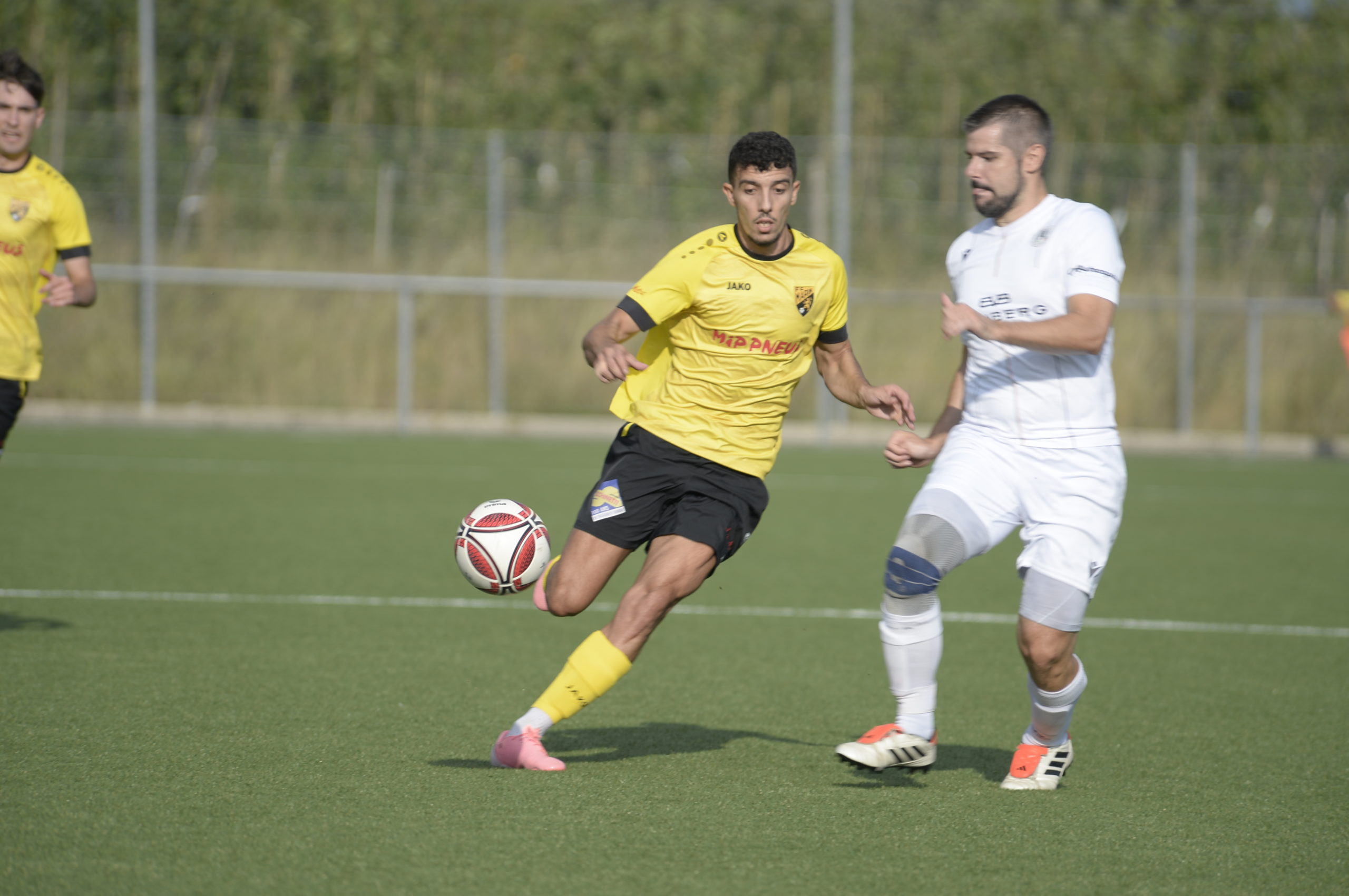 Audax - Marin (3)