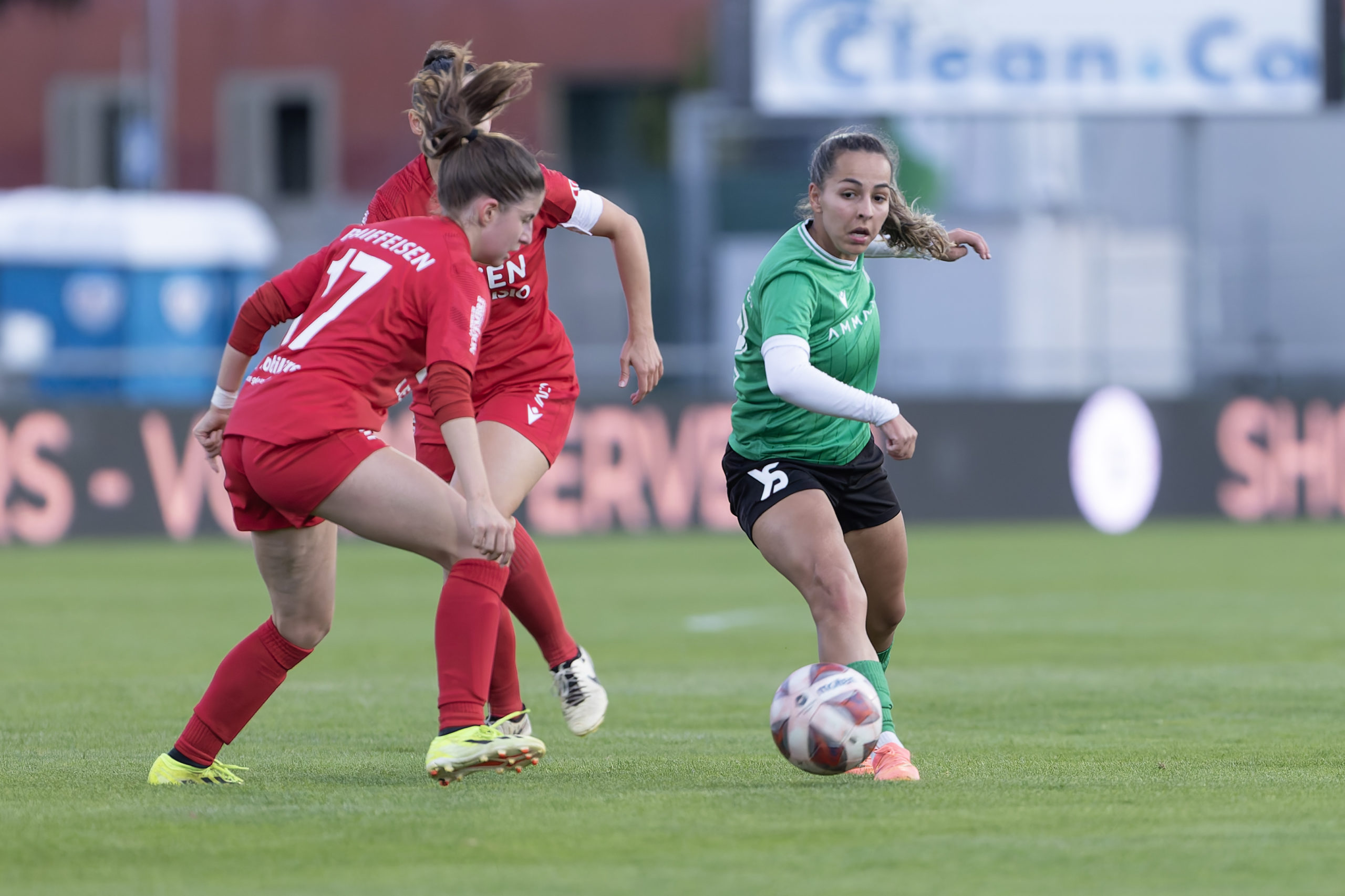 20240914-_S9I4250-CR3 copie