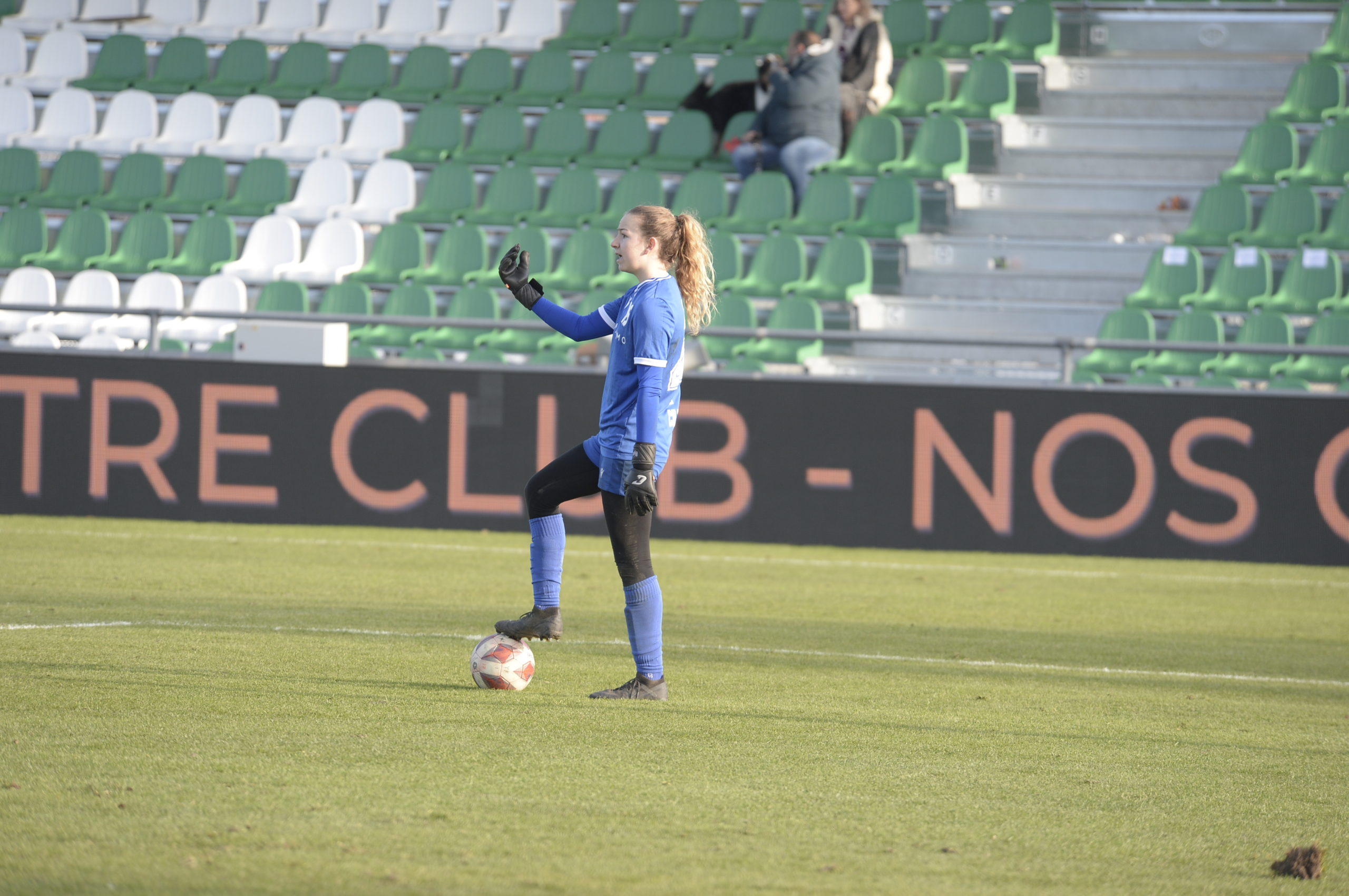 YSF - Wil (5)