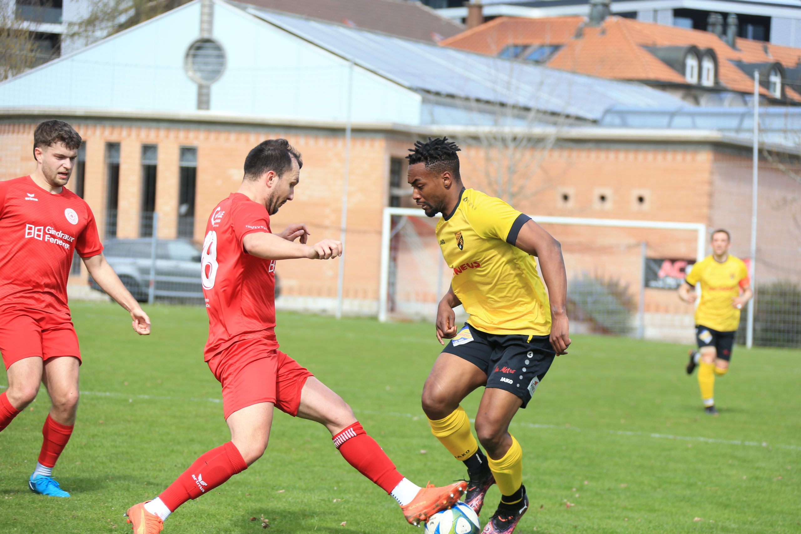 Beroche - Marin (12)