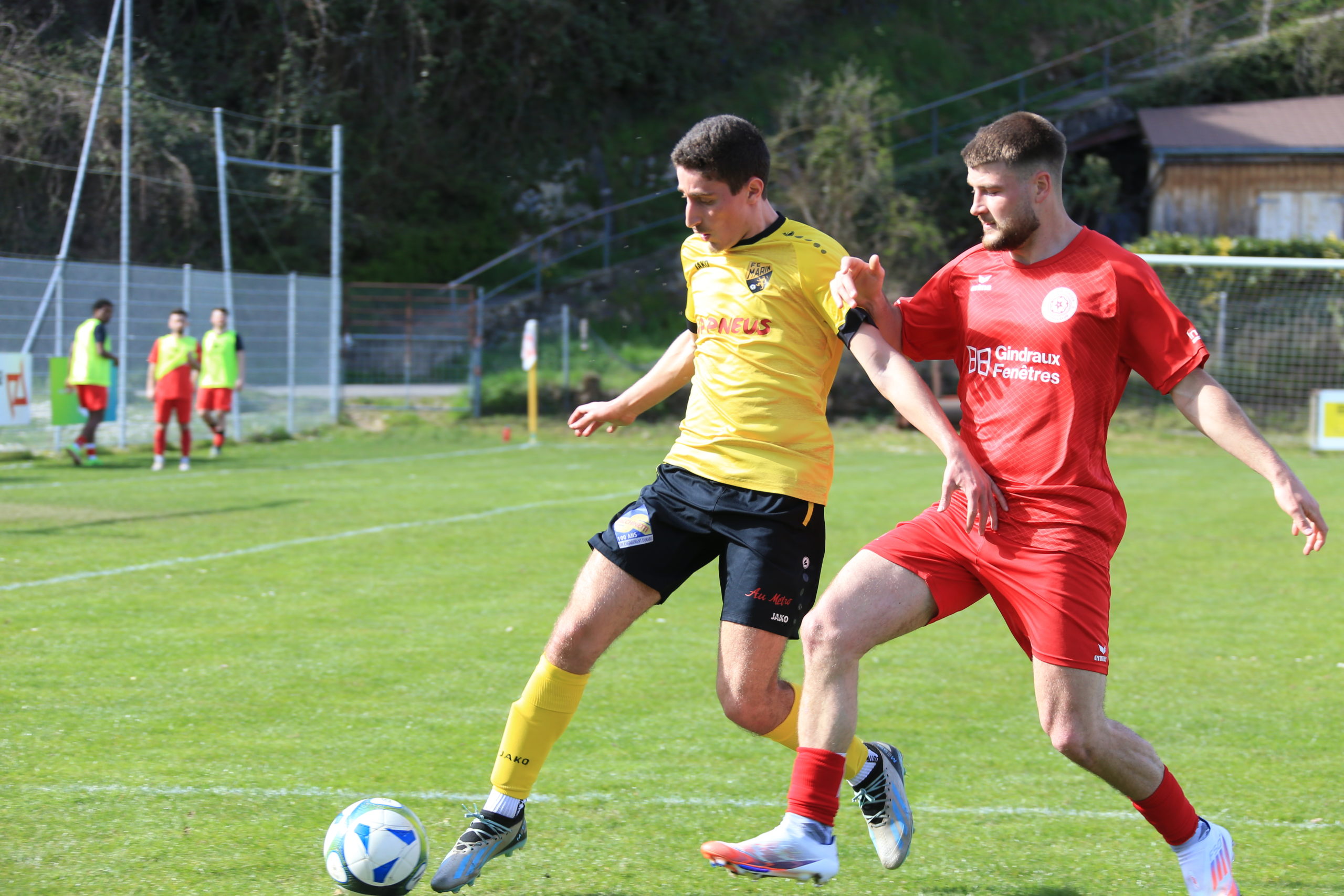 Beroche - Marin (18)