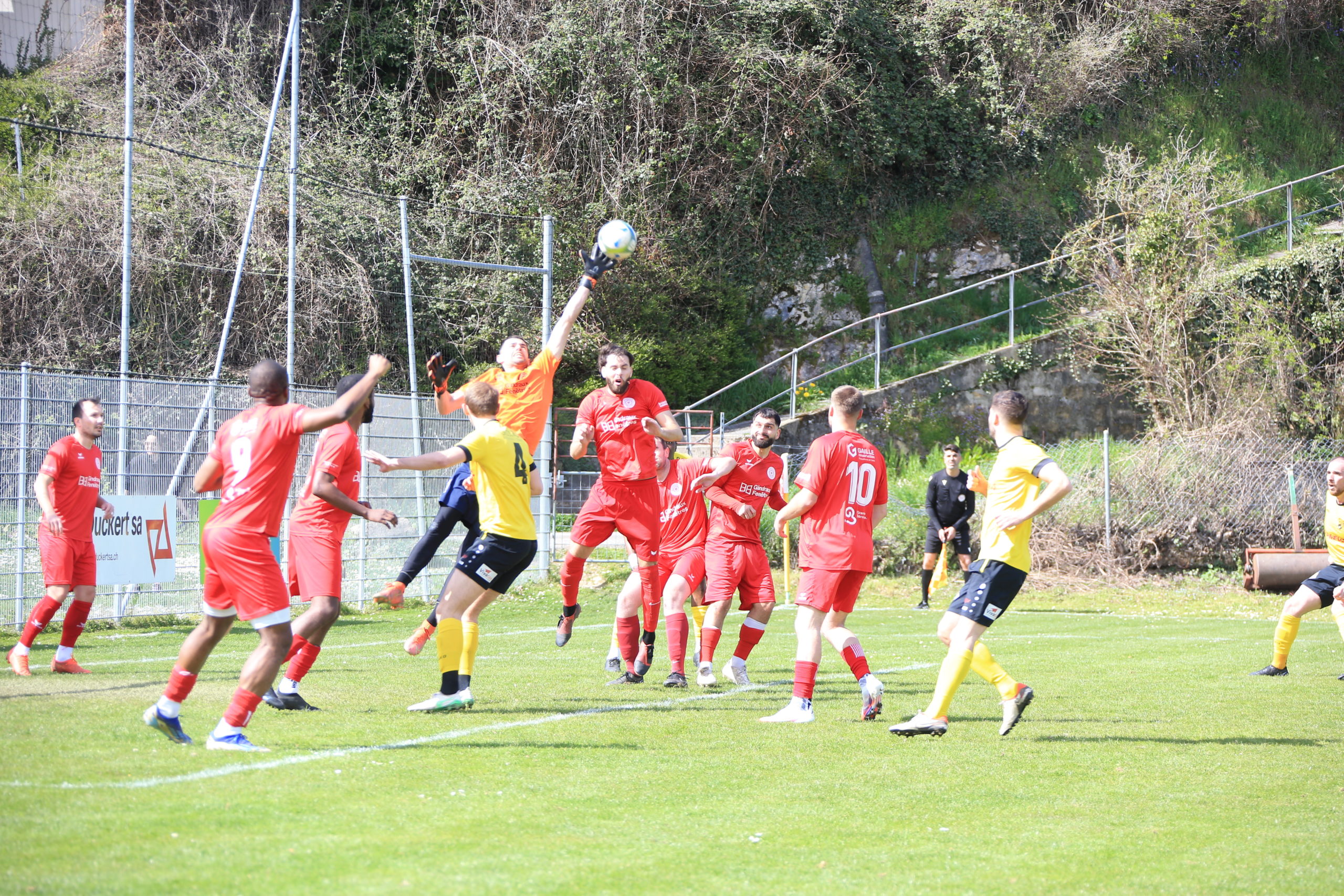 Beroche - Marin (24)