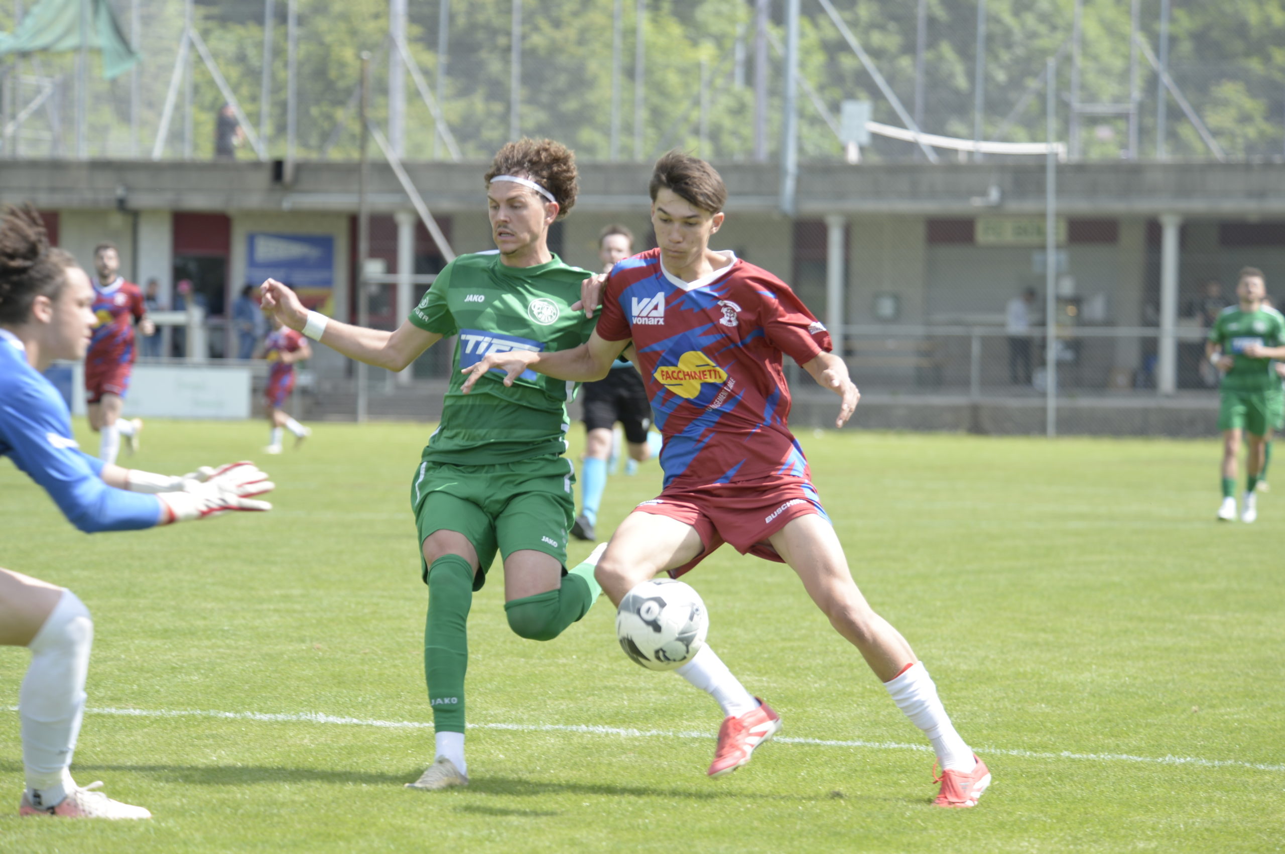 Bole - Saint-Blaise (18)