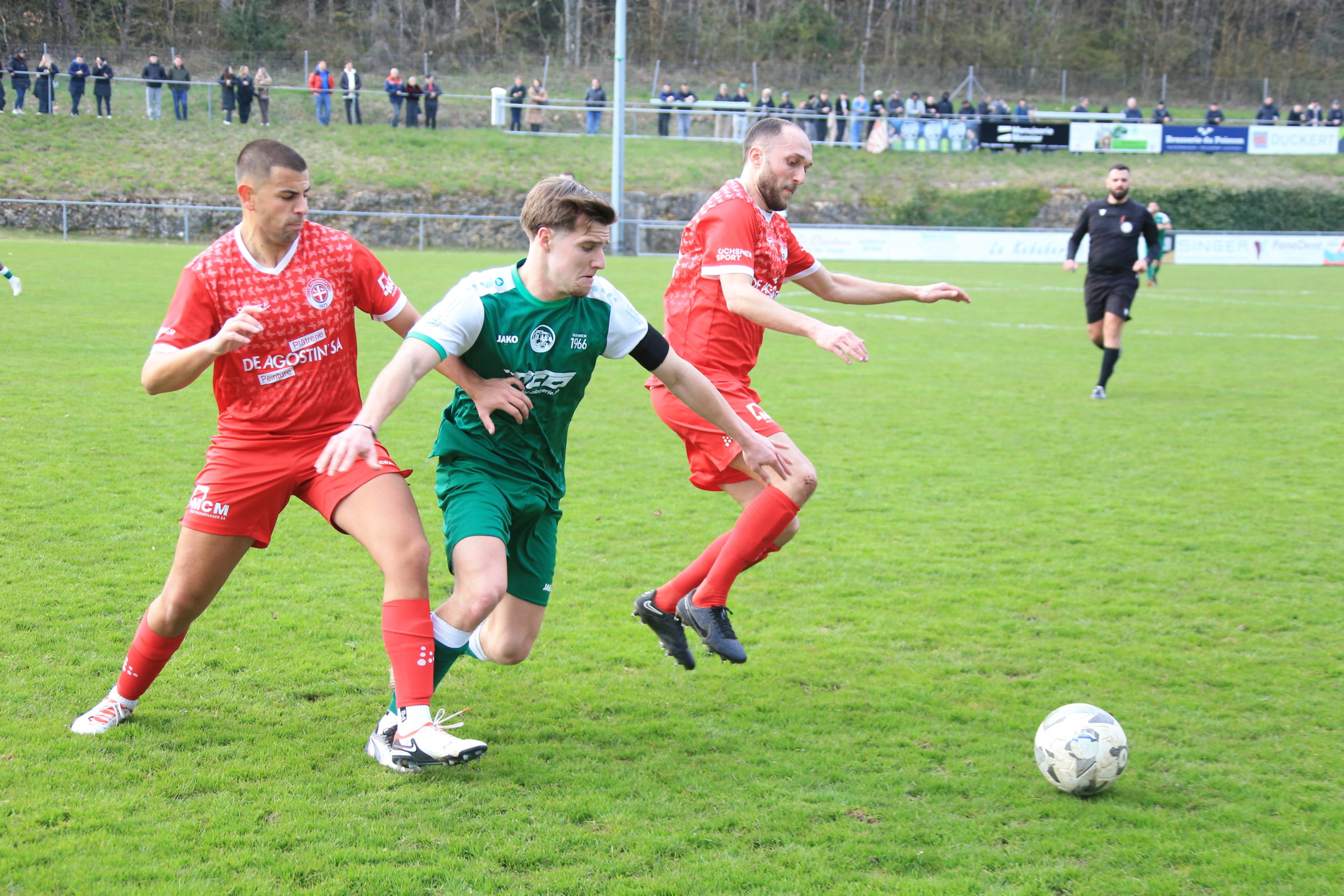 Bole - Colombier (11)