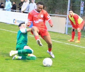 Bole - Colombier (24)