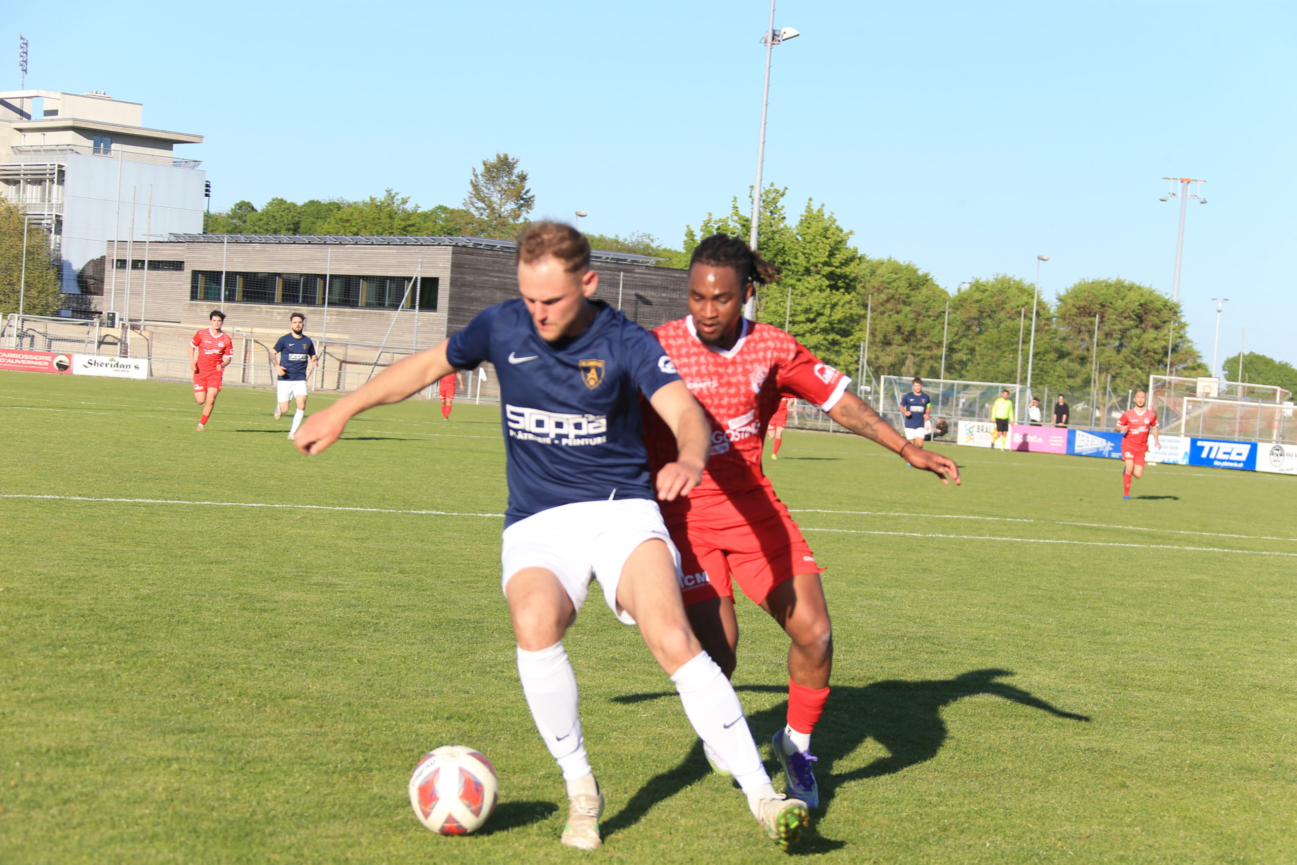 Colombier - Lignieres (37)