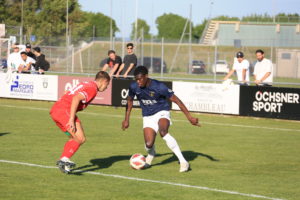 Colombier - Lignieres (40)