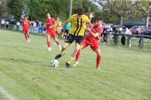 Marin - Beroche (16)